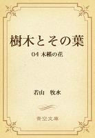 樹木とその葉 04 木槿の花
