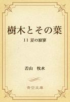 樹木とその葉 11 夏の寂寥