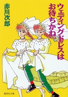 ウェディングドレスはお待ちかね（南条姉妹シリーズ）